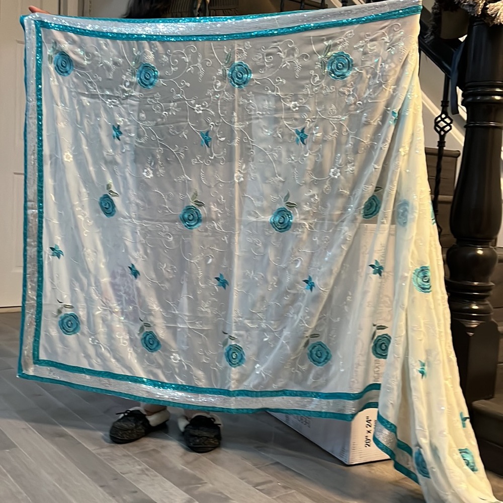 Saree in great condition. Georgette fabric